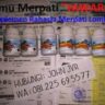 Foto: Jamu Merpati Jawara