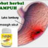 Foto: Obat Herbal Luka Lambung Ampuh