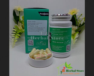 Prostanix Asli Obat Prostat Herbal Original Bergaransi Resmi BPOM