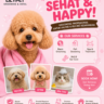 Foto: Grooming Kucing & Anjing Profesional di Cimahi | Lilypet