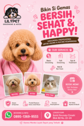 Grooming Kucing & Anjing Profesional di Cimahi | Lilypet